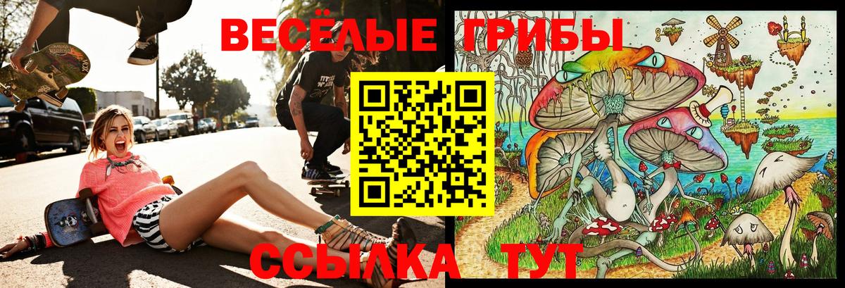 Галлюциногенные грибы мухоморы Гагарин