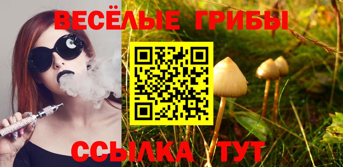 Гагарин  Псилоцибиновые грибы Cubensis  где купить наркотик  Вход с VPN 